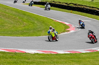 cadwell-no-limits-trackday;cadwell-park;cadwell-park-photographs;cadwell-trackday-photographs;enduro-digital-images;event-digital-images;eventdigitalimages;no-limits-trackdays;peter-wileman-photography;racing-digital-images;trackday-digital-images;trackday-photos